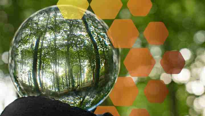 CrystalBall 041725